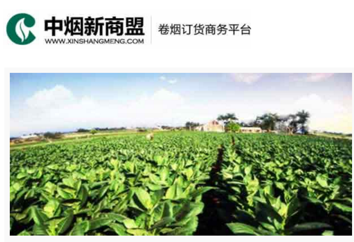 中烟新商盟卷烟订货商务平台-新彩网官网