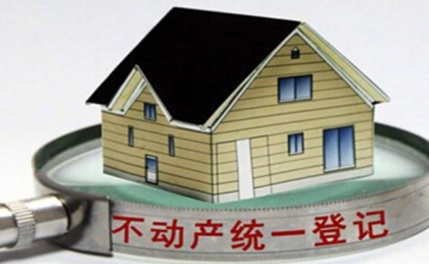 新彩网官网不动产登记信息管理系统解决方案